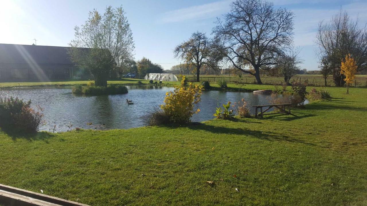 Lapins Fromelles